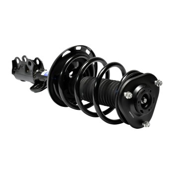 Suspension Strut and Coil Spring Assembly