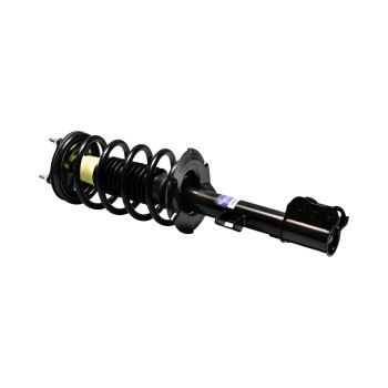 Suspension Strut and Coil Spring Assembly