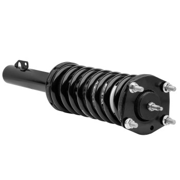 Suspension Strut and Coil Spring Assembly