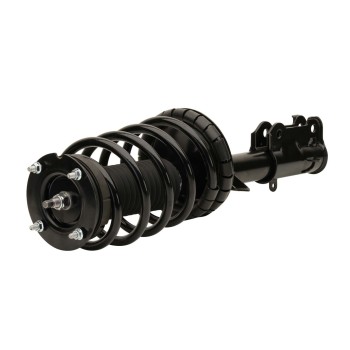 Suspension Strut and Coil Spring Assembly