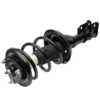 Suspension Strut and Coil Spring Assembly