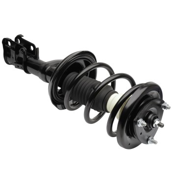 Suspension Strut and Coil Spring Assembly