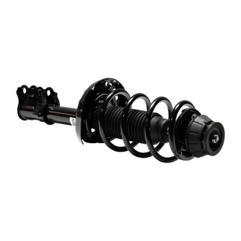 Suspension Strut and Coil Spring Assembly