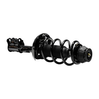 Suspension Strut and Coil Spring Assembly
