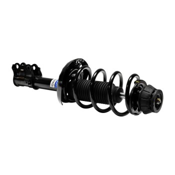 Suspension Strut and Coil Spring Assembly