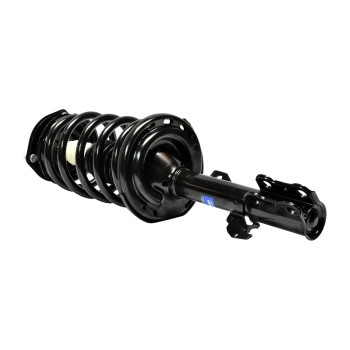 Suspension Strut and Coil Spring Assembly