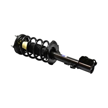 Suspension Strut and Coil Spring Assembly