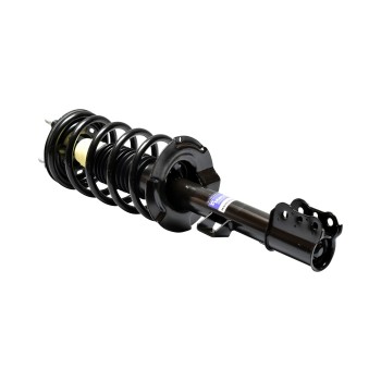 Suspension Strut and Coil Spring Assembly