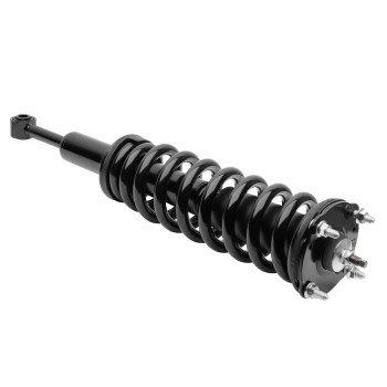 Suspension Strut and Coil Spring Assembly