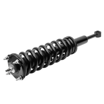 Suspension Strut and Coil Spring Assembly