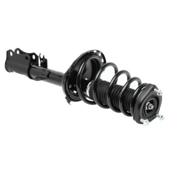 Suspension Strut and Coil Spring Assembly