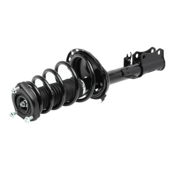 Suspension Strut and Coil Spring Assembly