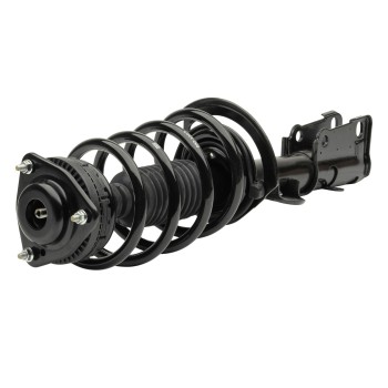 Suspension Strut and Coil Spring Assembly