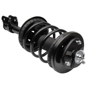 Suspension Strut and Coil Spring Assembly