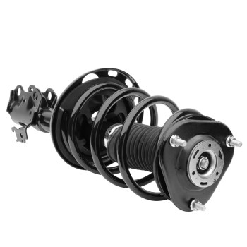 Suspension Strut and Coil Spring Assembly