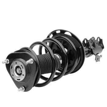 Suspension Strut and Coil Spring Assembly