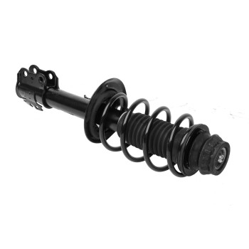 Suspension Strut and Coil Spring Assembly