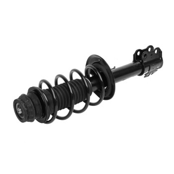 Suspension Strut and Coil Spring Assembly