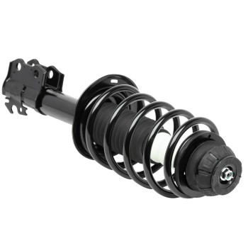 Suspension Strut and Coil Spring Assembly