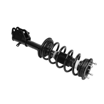 Suspension Strut and Coil Spring Assembly