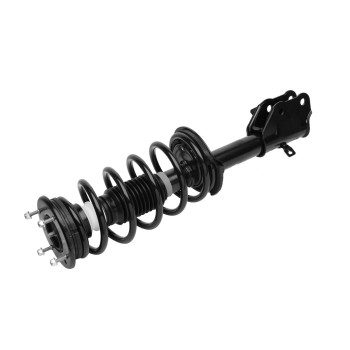 Suspension Strut and Coil Spring Assembly