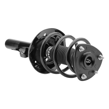 Suspension Strut and Coil Spring Assembly