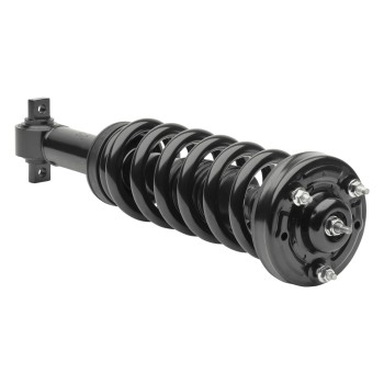 Suspension Strut and Coil Spring Assembly