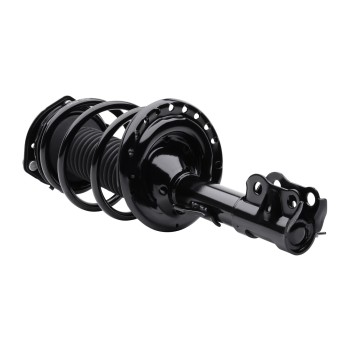 Suspension Strut and Coil Spring Assembly