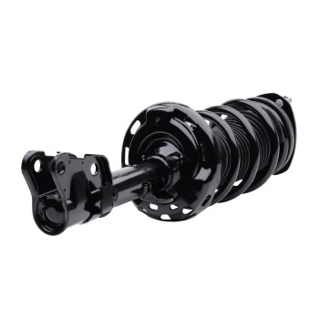 Suspension Strut and Coil Spring Assembly