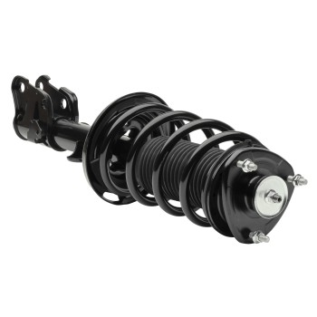 Suspension Strut and Coil Spring Assembly