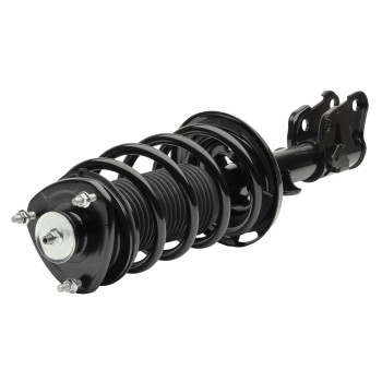 Suspension Strut and Coil Spring Assembly