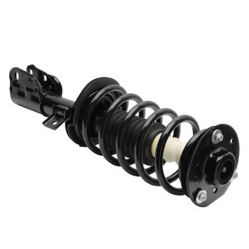 Suspension Strut and Coil Spring Assembly