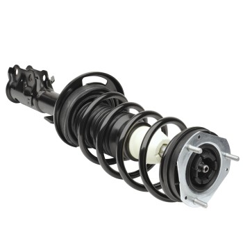 Suspension Strut and Coil Spring Assembly