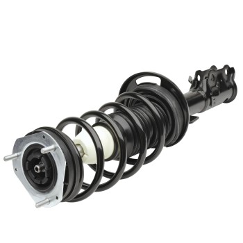 Suspension Strut and Coil Spring Assembly