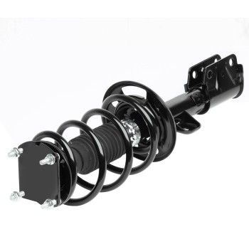 Suspension Strut and Coil Spring Assembly