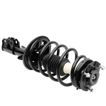 Suspension Strut and Coil Spring Assembly