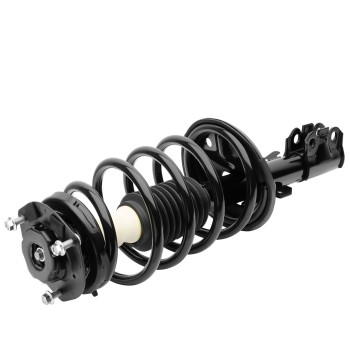 Suspension Strut and Coil Spring Assembly