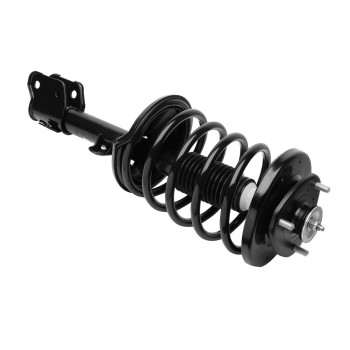 Suspension Strut and Coil Spring Assembly