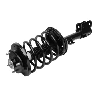 Suspension Strut and Coil Spring Assembly