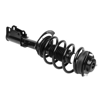 Suspension Strut and Coil Spring Assembly