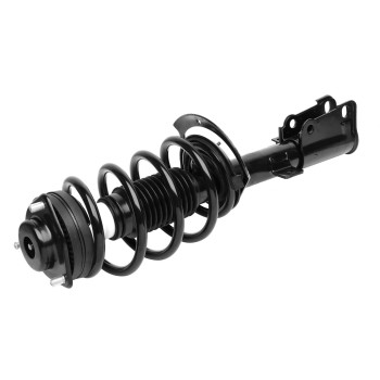 Suspension Strut and Coil Spring Assembly