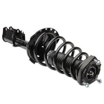 Suspension Strut and Coil Spring Assembly