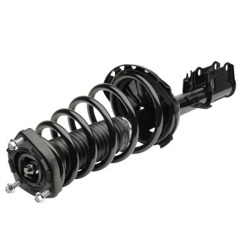 Suspension Strut and Coil Spring Assembly