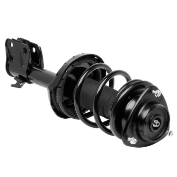 Suspension Strut and Coil Spring Assembly