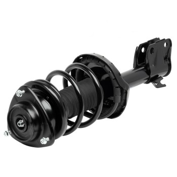 Suspension Strut and Coil Spring Assembly
