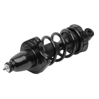 Suspension Strut and Coil Spring Assembly