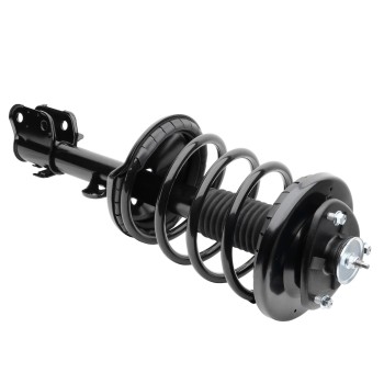 Suspension Strut and Coil Spring Assembly