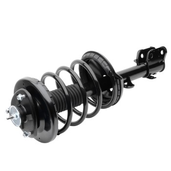 Suspension Strut and Coil Spring Assembly