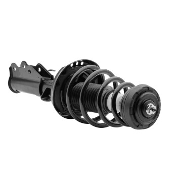 Suspension Strut and Coil Spring Assembly