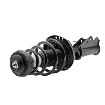Suspension Strut and Coil Spring Assembly